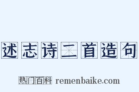 述志诗二首造句是什么意思的图片